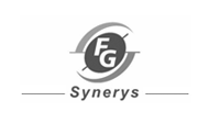 FG Synerys