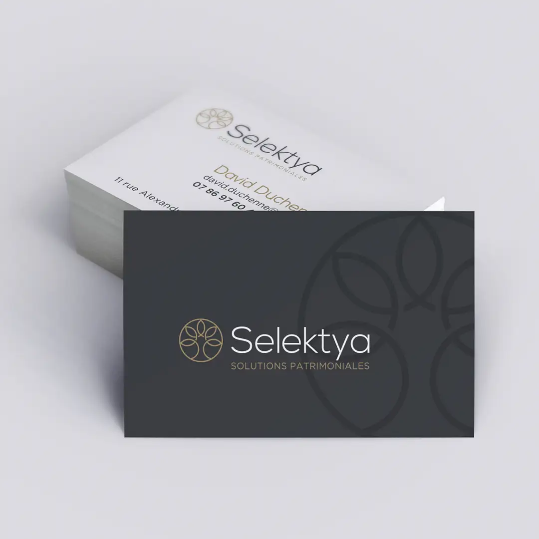 Selektya — visuel 3
