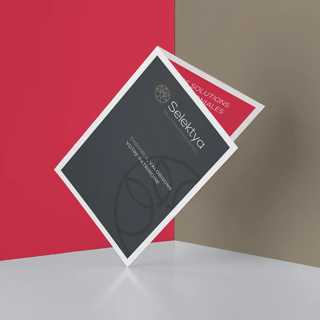 Selektya — visuel 5