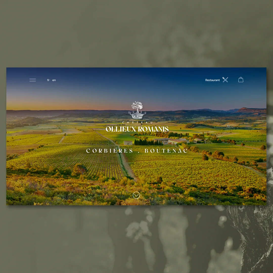 Château Ollieux Romanis — visuel 1