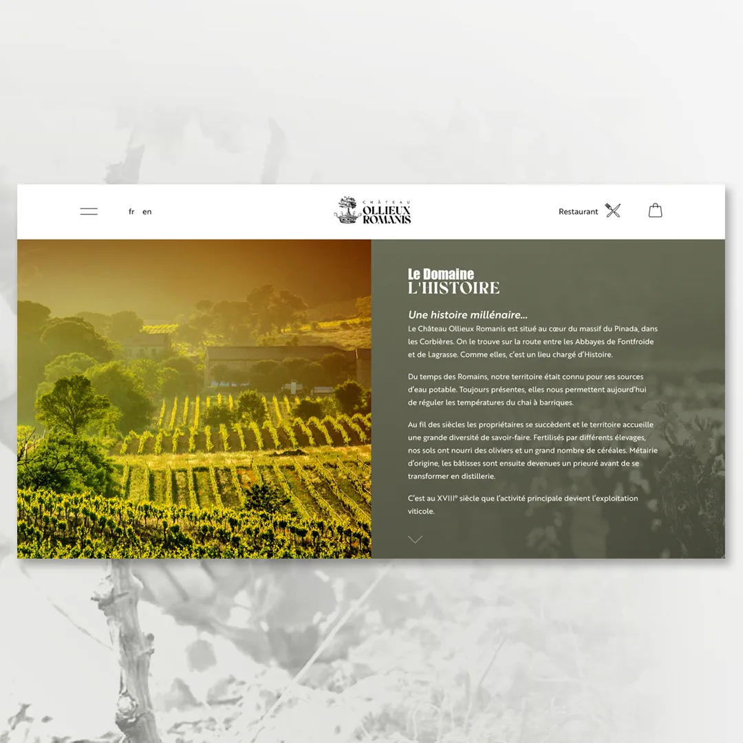 Château Ollieux Romanis — visuel 2