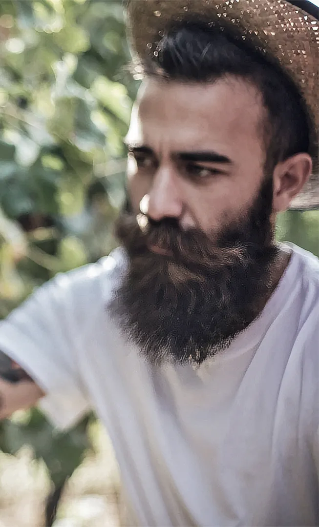 Artisans Partisans