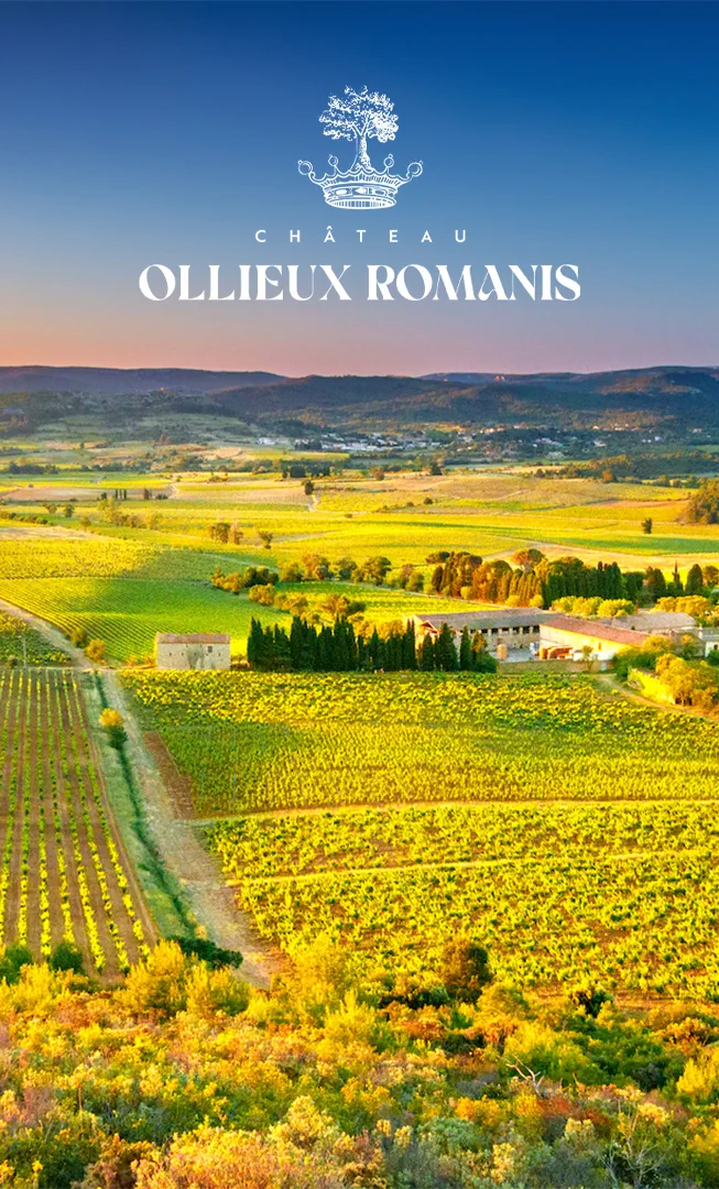 Château Ollieux Romanis