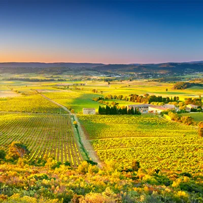 Château Ollieux Romanis