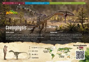 Panneau Coelophysis