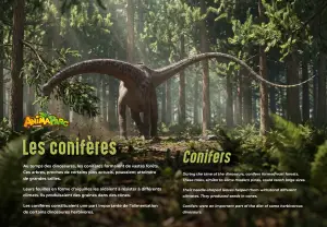 Panneau Les conifères