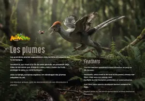 Panneau Les plumes