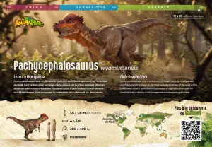 Panneau Pachycephalosaurus