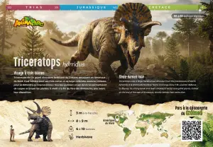 Panneau Triceratops