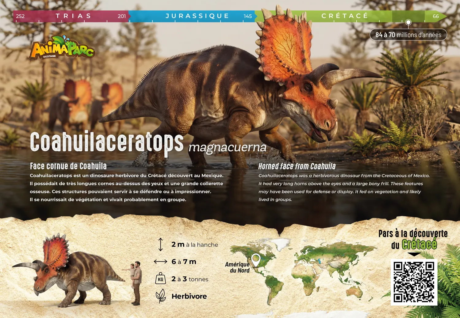 Coahuilaceratops — le panneau entier