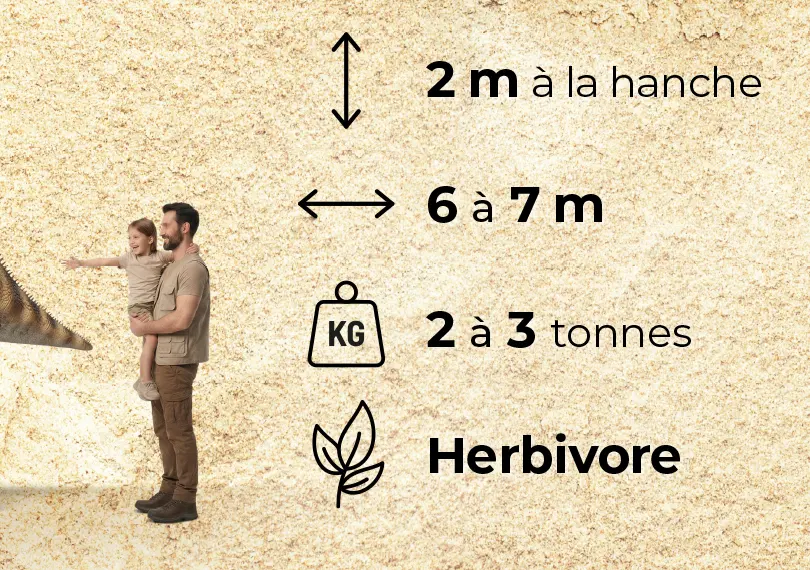 Coahuilaceratops — L’échelle humaine et les quatre pictogrammes de données : hauteur, longueur, masse, régime. Le même jeu sur chaque fiche.