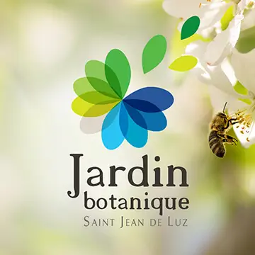Ville de Saint-Jean-de-Luz
