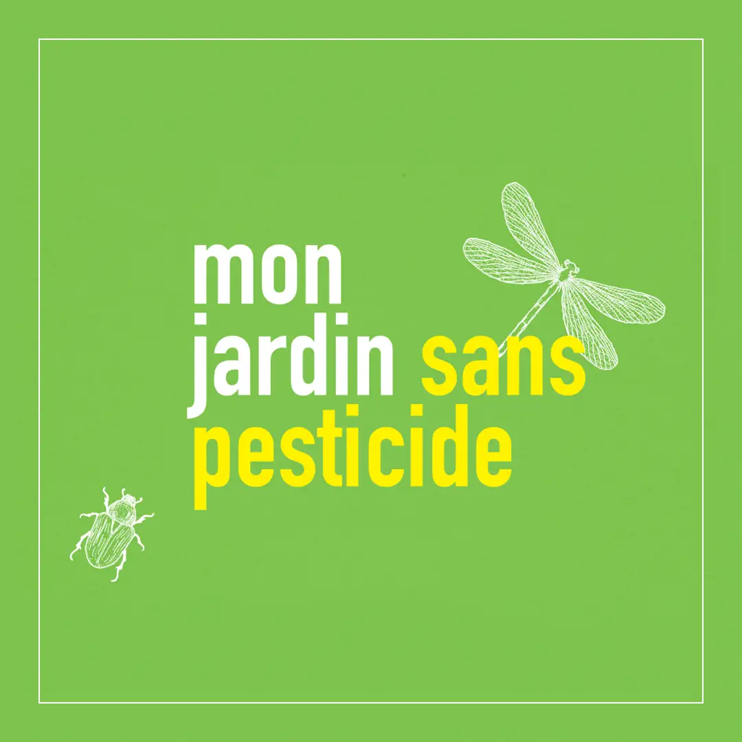 Publicité, Print Adour-Garonne Midi-Pyrénées