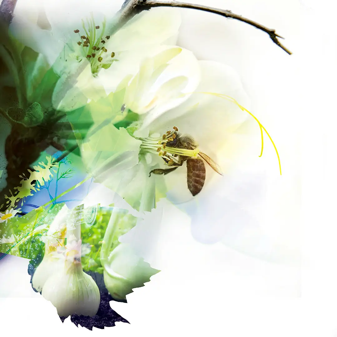 Publicité, Print Adour-Garonne Midi-Pyrénées