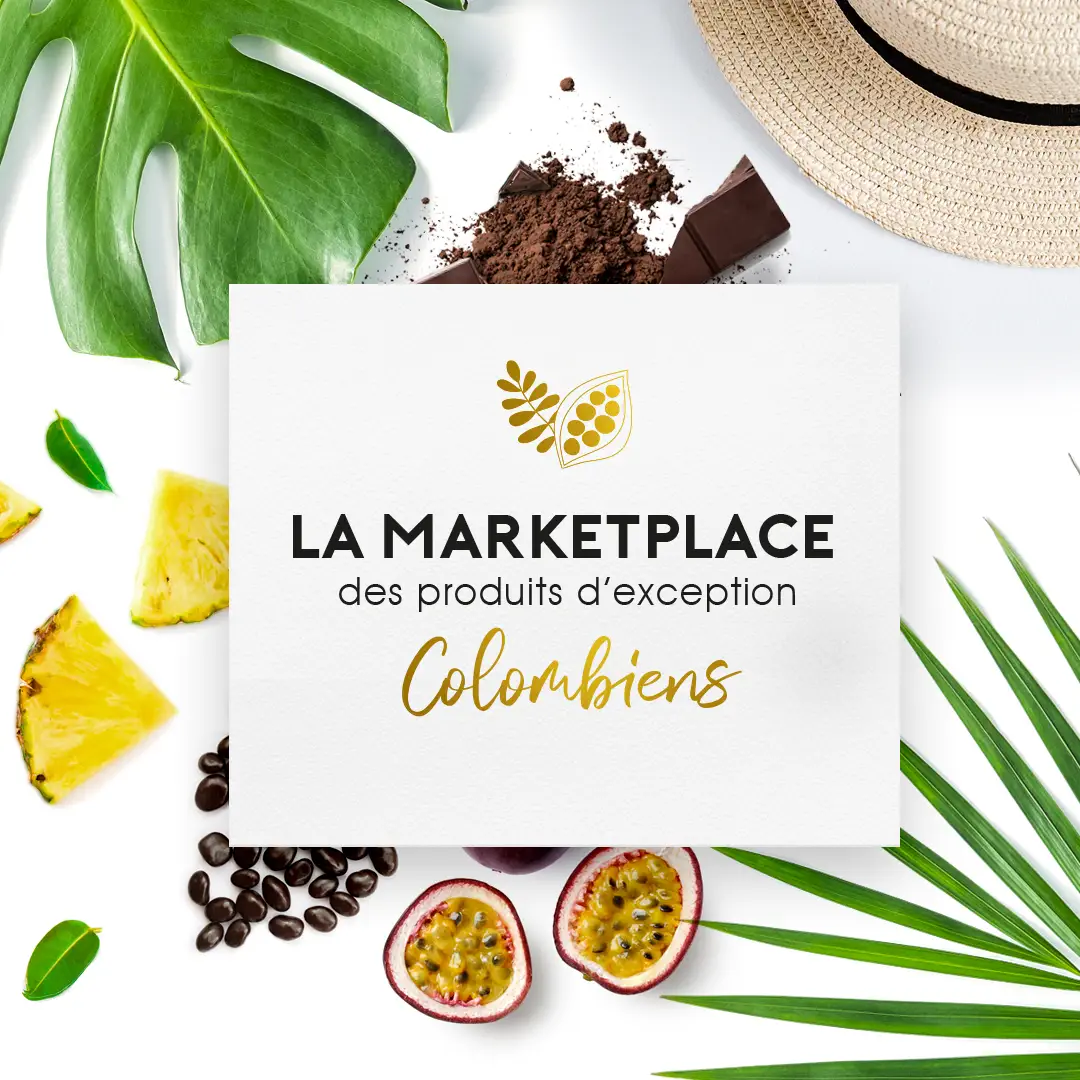 Branding, Print Bogotaris