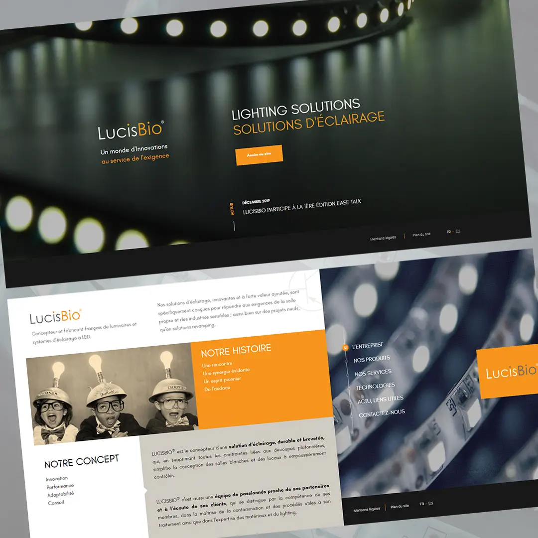 Conseil en communication, Création de site internet LucisBio