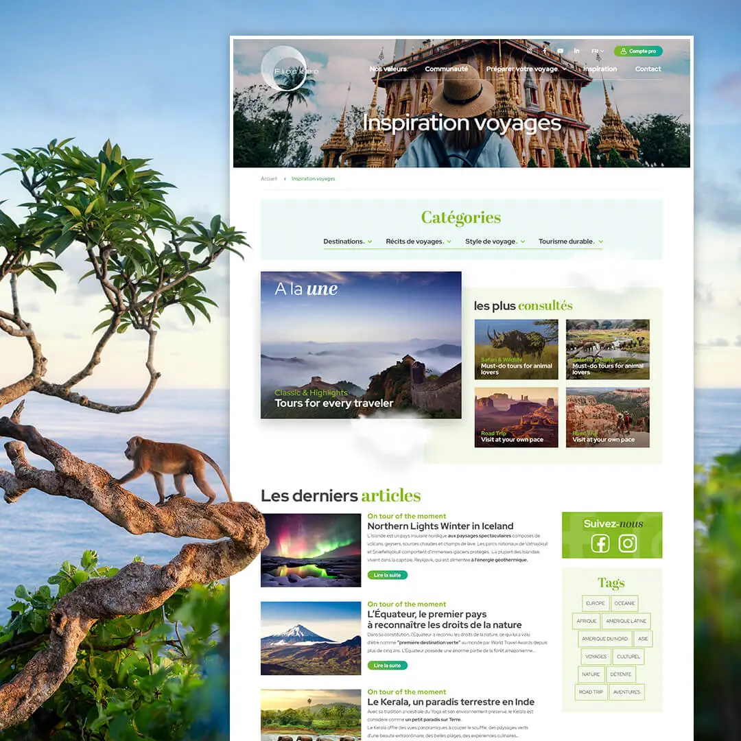 Création de site internet Flockeo