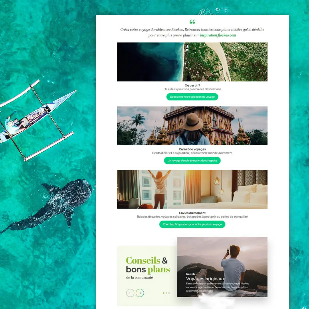 Création de site internet Flockeo