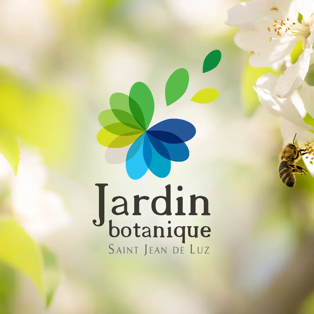 Branding, Publicité Ville de Saint-Jean-de-Luz